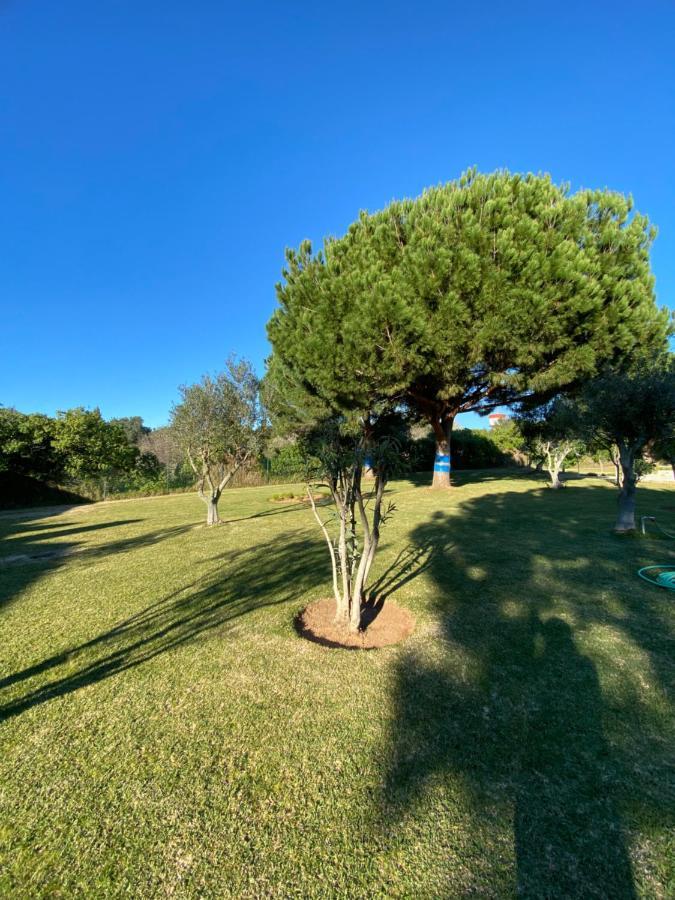 Villa Bemposta Alvor Extérieur photo
